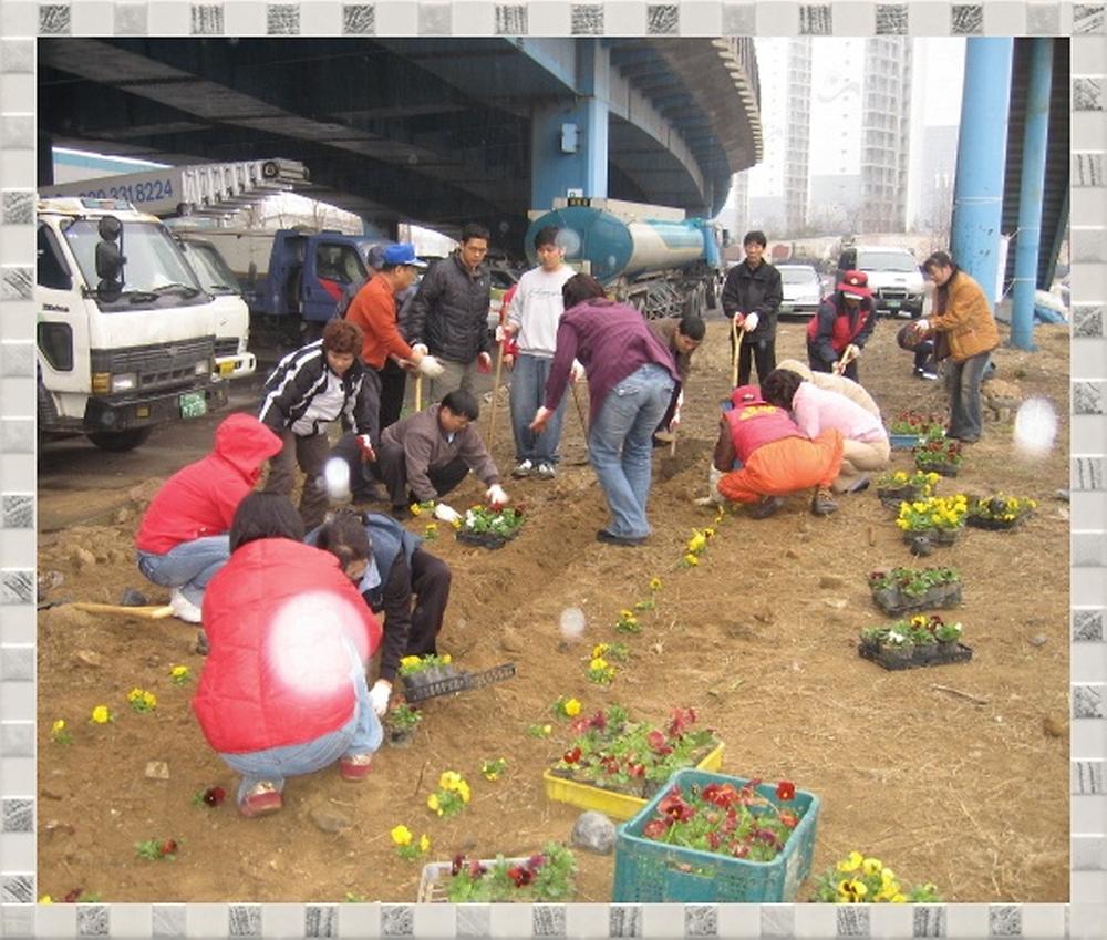 꽃밭 조성중 사진