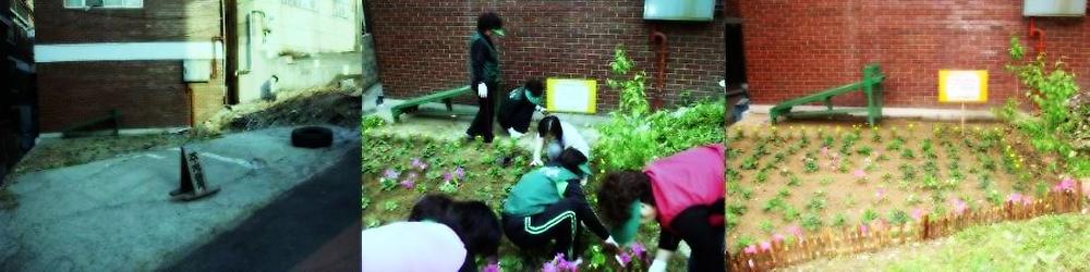 사랑의 꽃밭만들기 사진