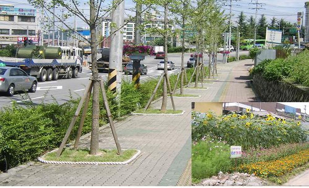 아름다운 송림로 사진