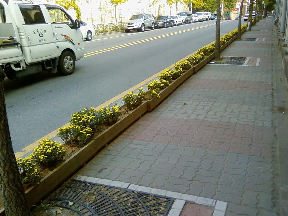 국화꽃향기에 취해보아요~ 사진