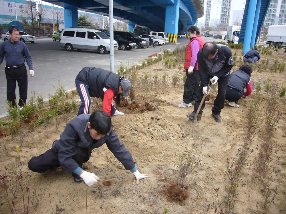 공한지 꽃밭조성(조성중) 사진