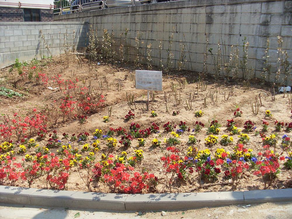 꽃밭 조성 중간 결과 안내 사진