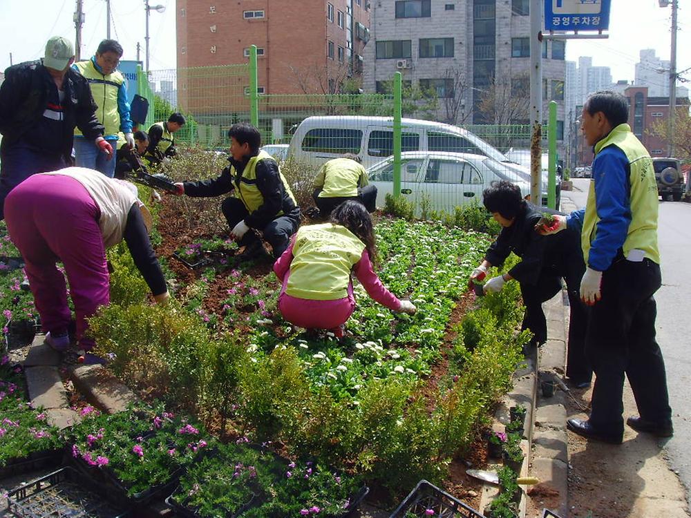 희망과 나눔으로 푸른마을 가꾸기 꽃심기 행사 1( 공영주차장앞) 사진