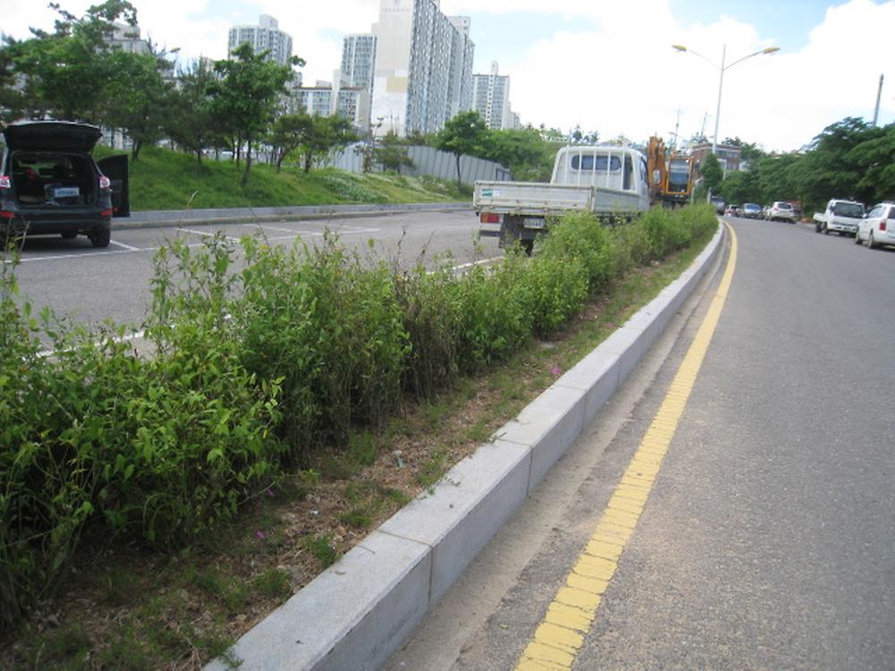 걷고싶은 꽃길거리 조성 사진