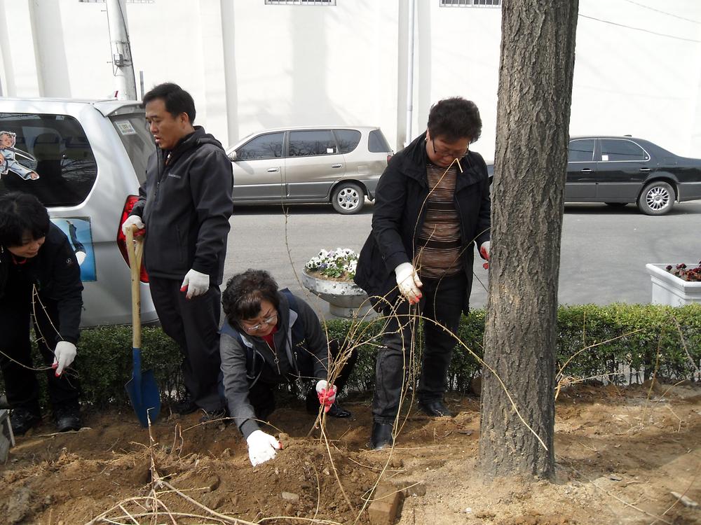 나무 심기 행사 사진