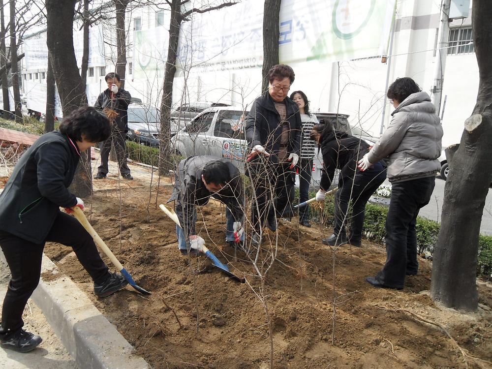 나무 심기 행사 사진