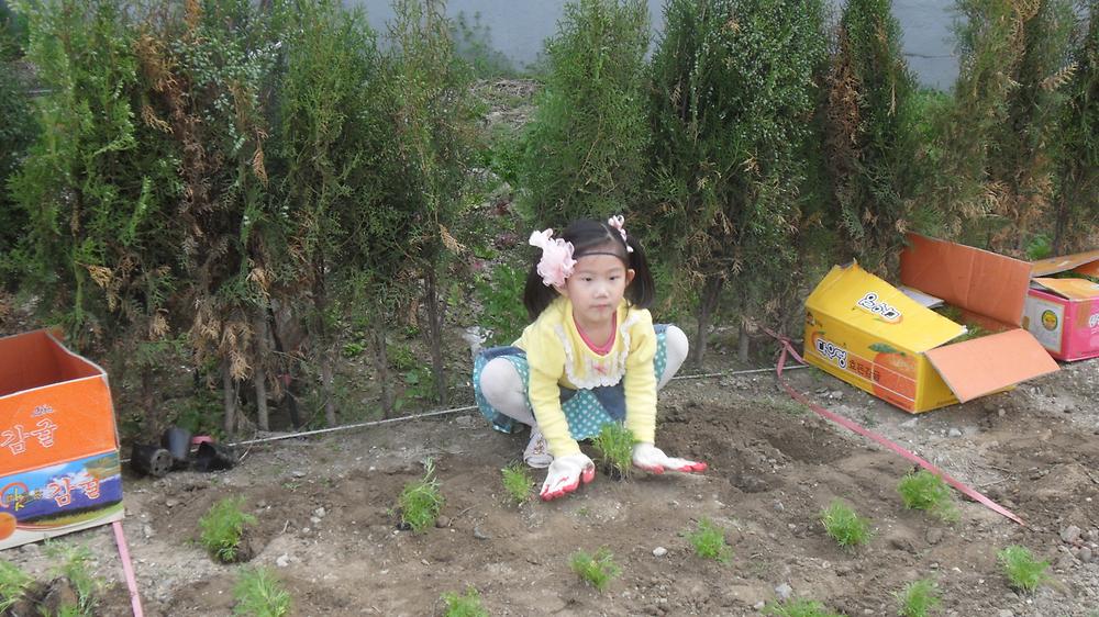행복꽃밭 조성 사진