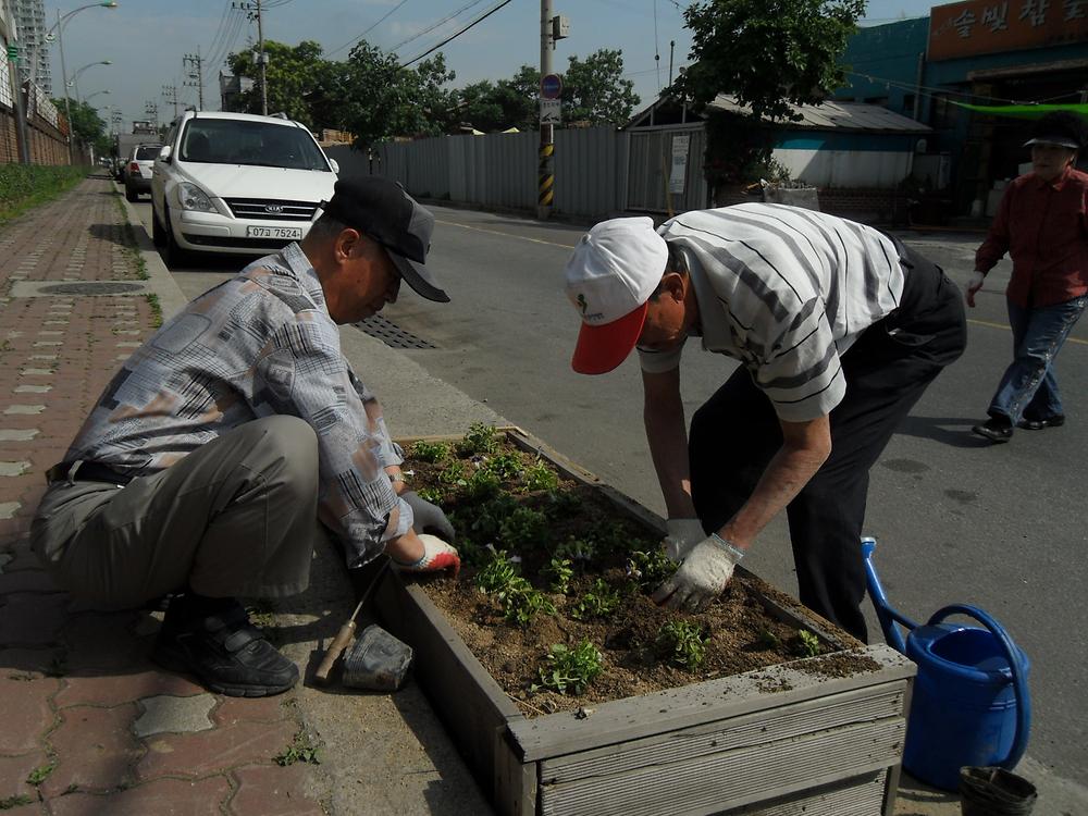 우리동네 가꾸기 사업(2011.06.17) 사진