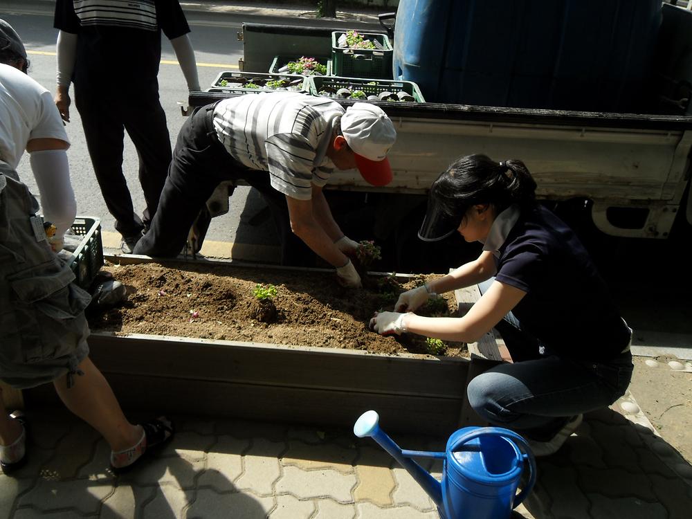 우리동네 가꾸기사업(2011.06.17) 사진