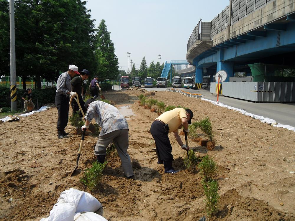 우리동네 가꾸기 사업(2011.06.28) 사진