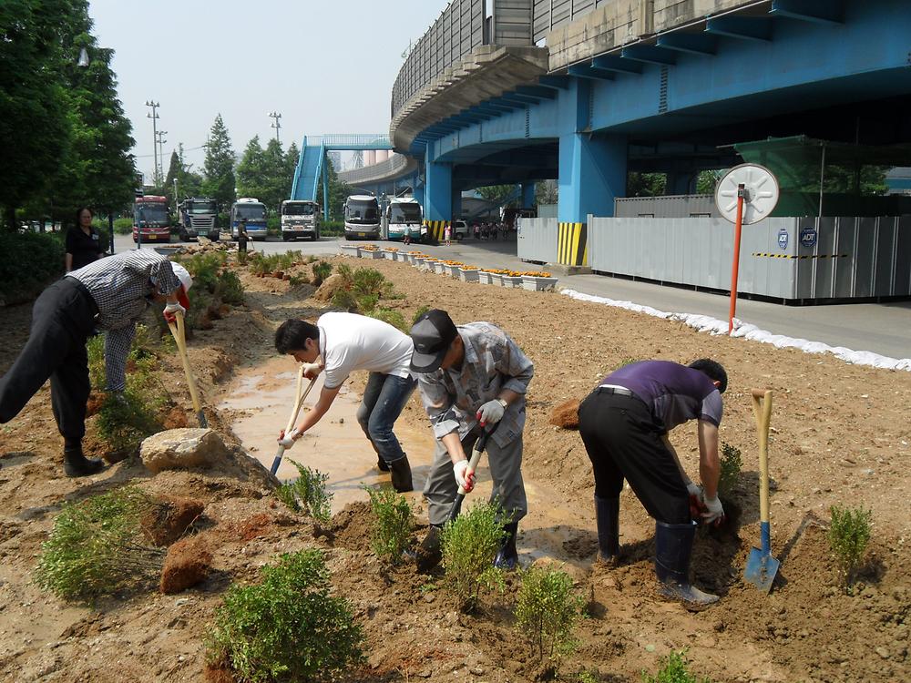 우리동네 가꾸기 사업(2011.06.28) 사진
