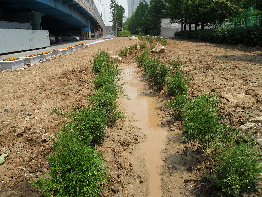 우리동네 가꾸기 사업(2011.06.28) 사진
