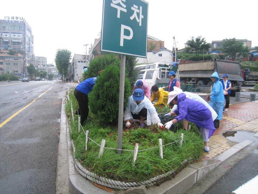 가을꽃 심기 사진
