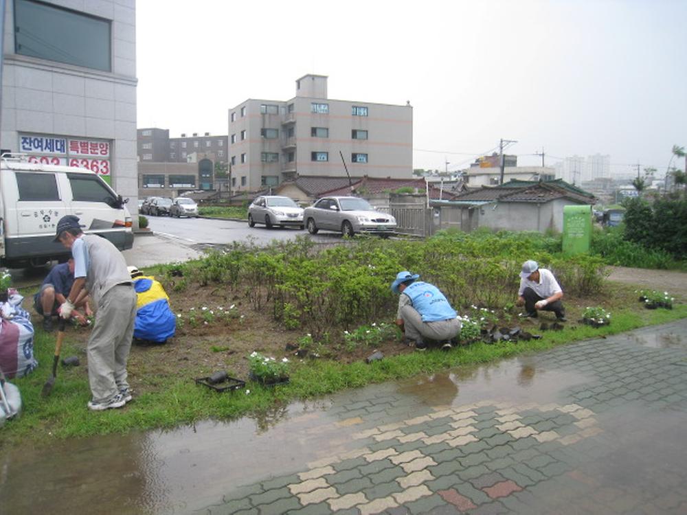 가을꽃 심기 사진