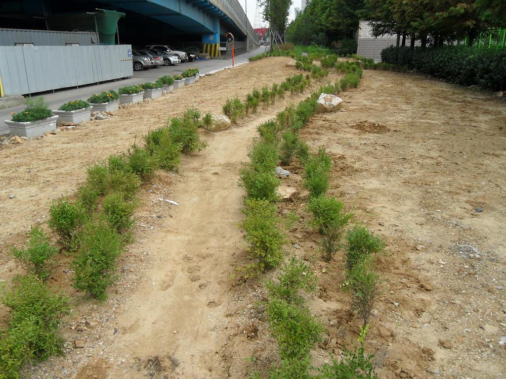 우리동네 가꾸기 사업(2011.08.23) 사진