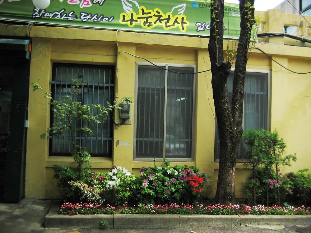 주민센터 꽃밭 조성 사진