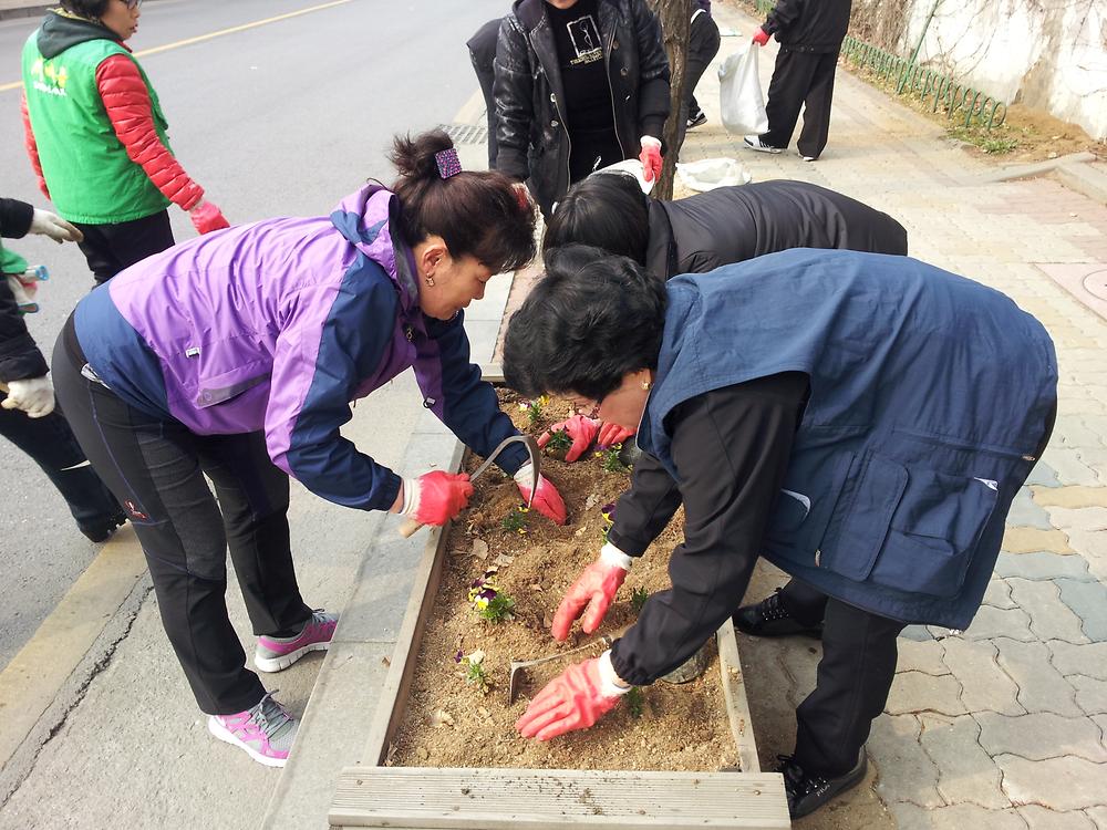우리동네 가꾸기 (봄꽃 식재) 사진