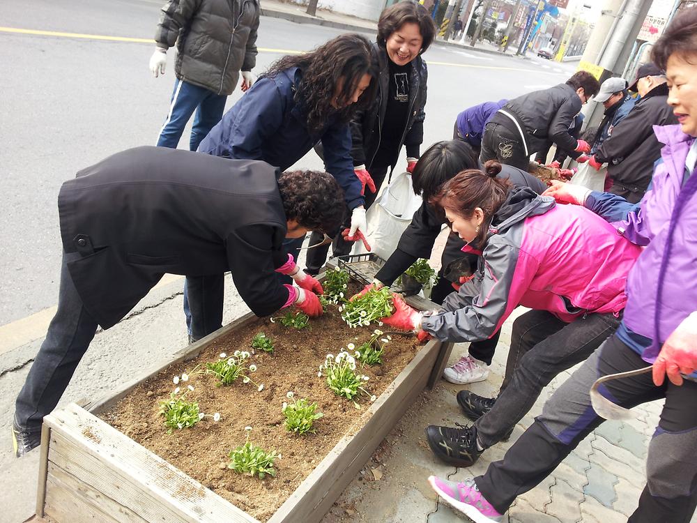 우리동네 가꾸기 (봄꽃 식재) 사진