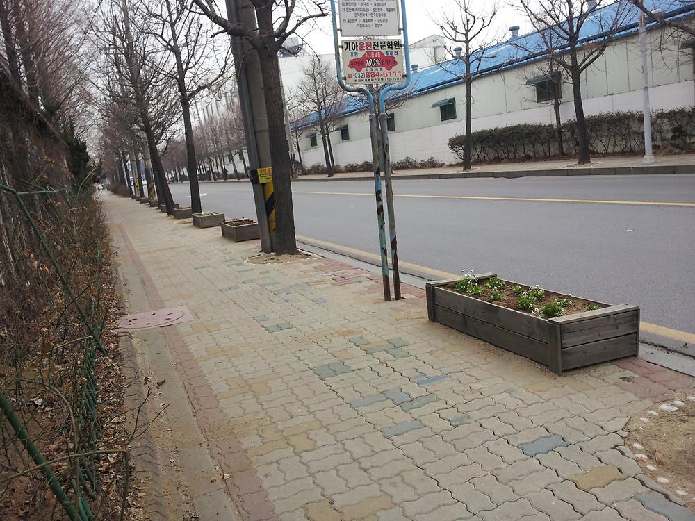 우리동네 가꾸기 (봄꽃 식재) 사진
