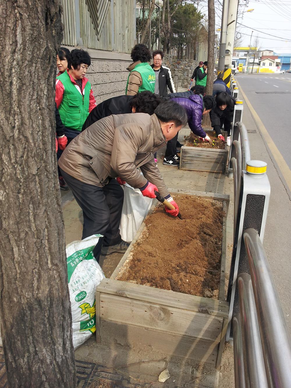 우리동네 가꾸기 (봄꽃 식재) 사진