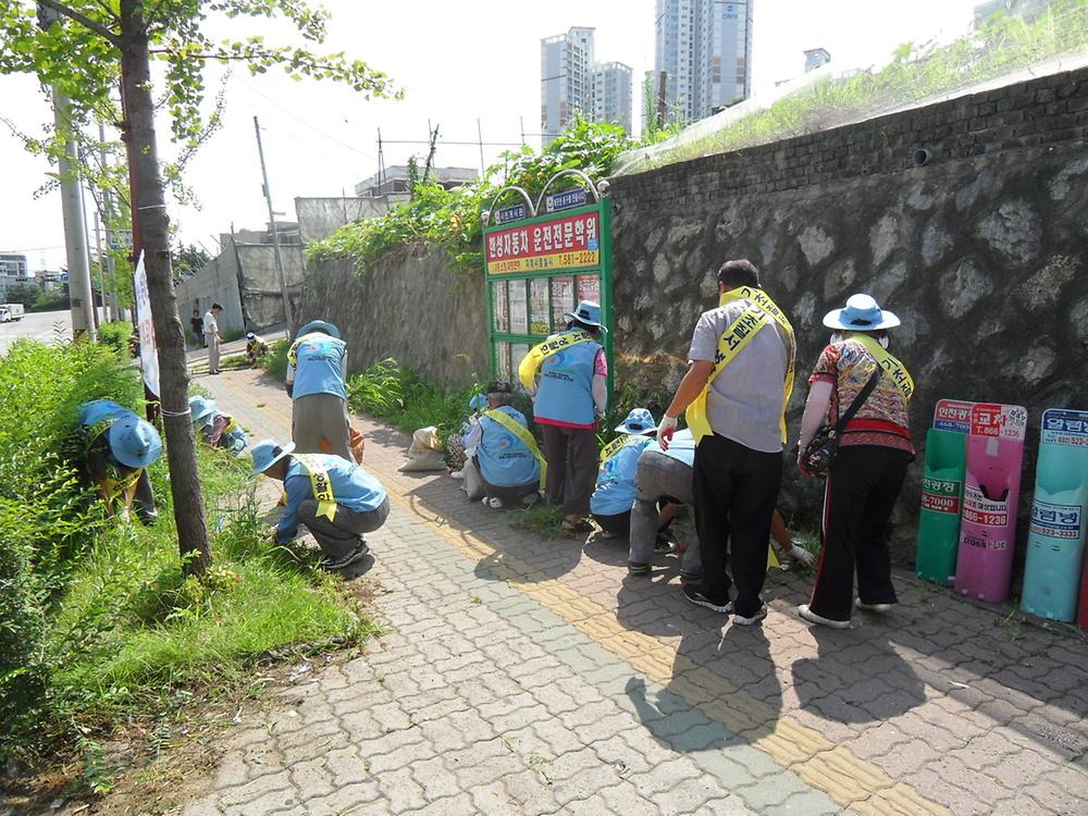 8월 국토대청경 운동 사진