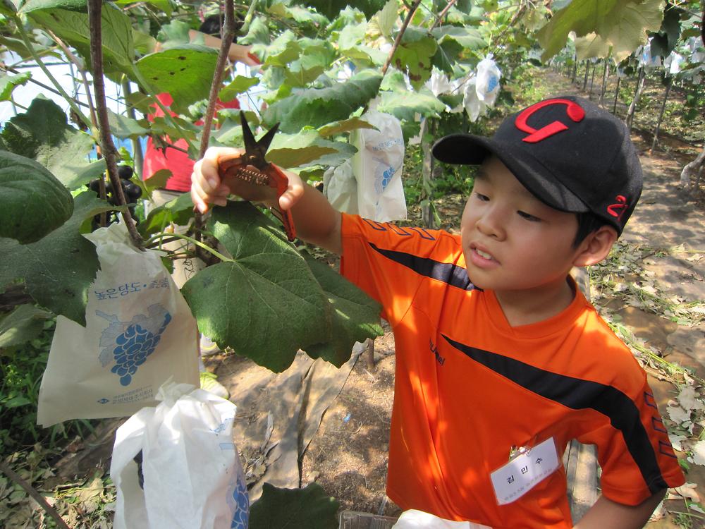 2012년 8월 17일 여름방학 아동 농촌 체험행사 관련 사진 사진