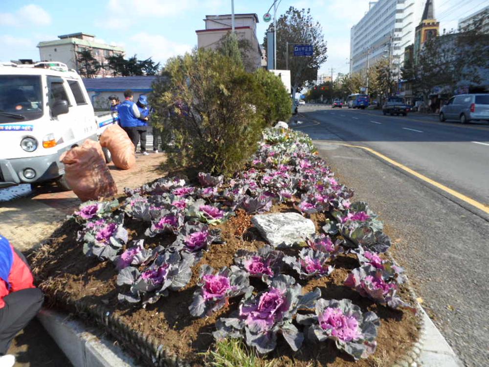 겨울꽃 심기 행사 사진