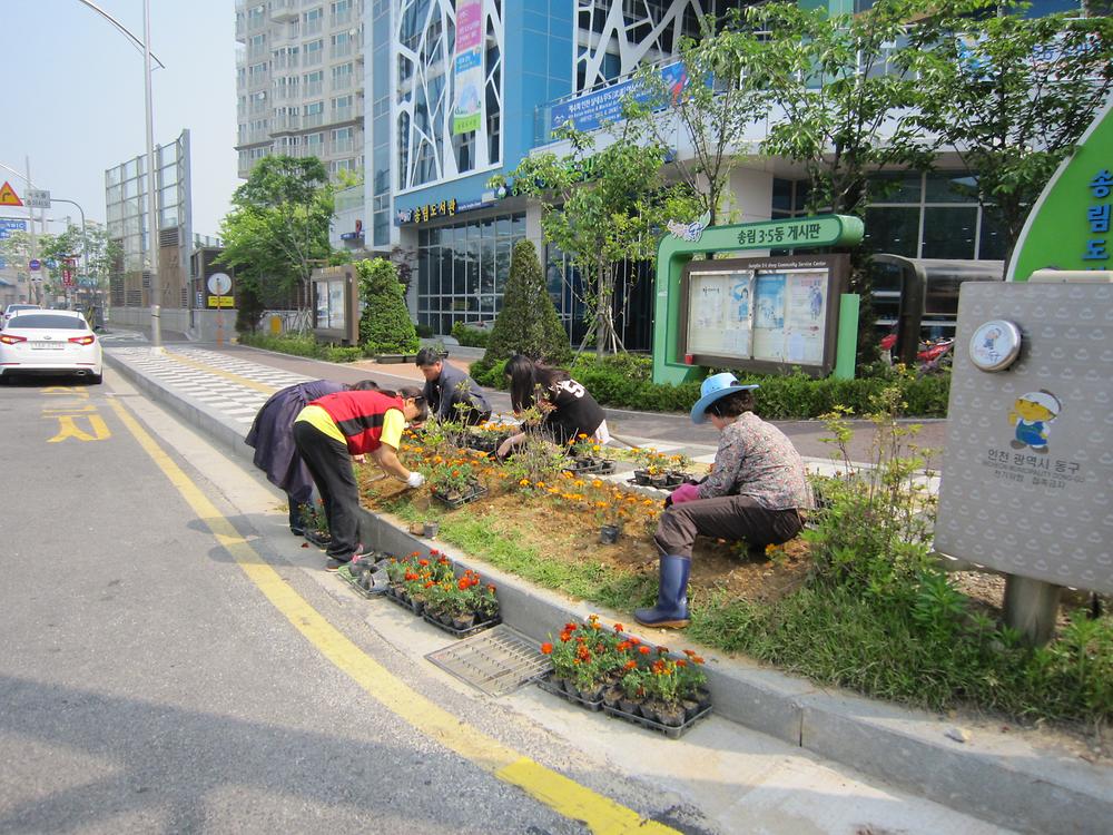 우리동네 꽃밭가꾸기 사진
