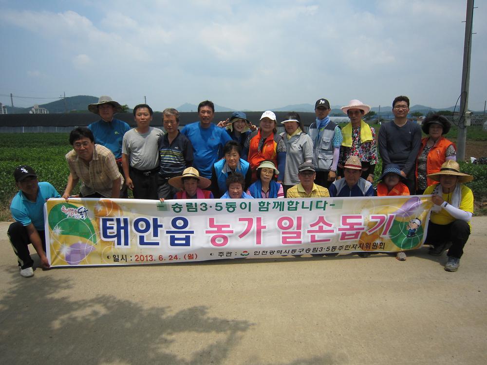(06.24.)농촌일손돕기 사진