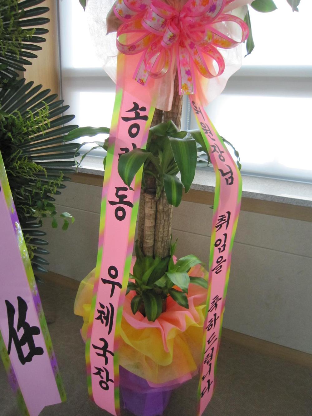 (07.03.)위원장 이,취임식 사진