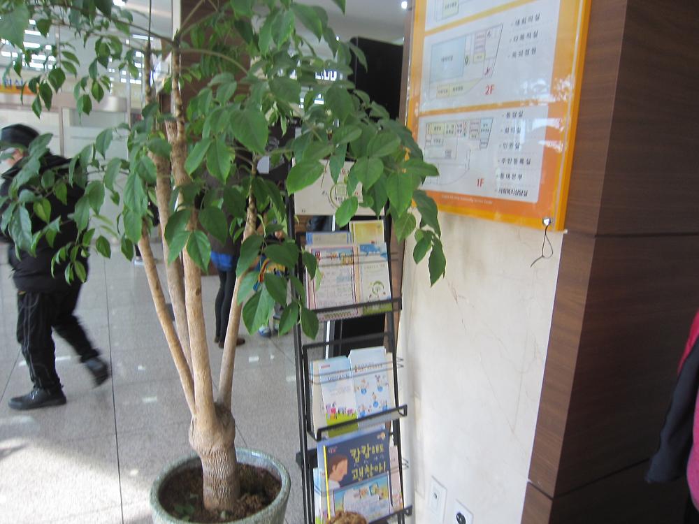 비상시국민행동요령 홍보물 게시사진 사진