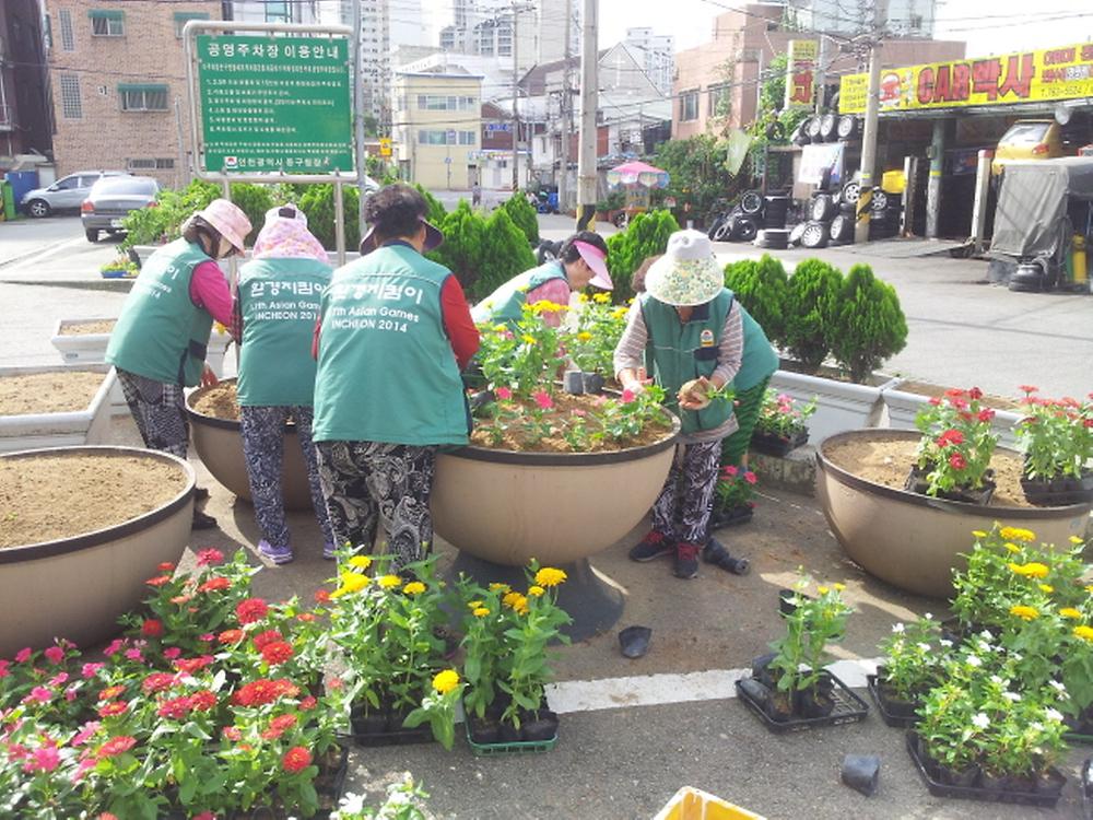가을꽃 식재 사진