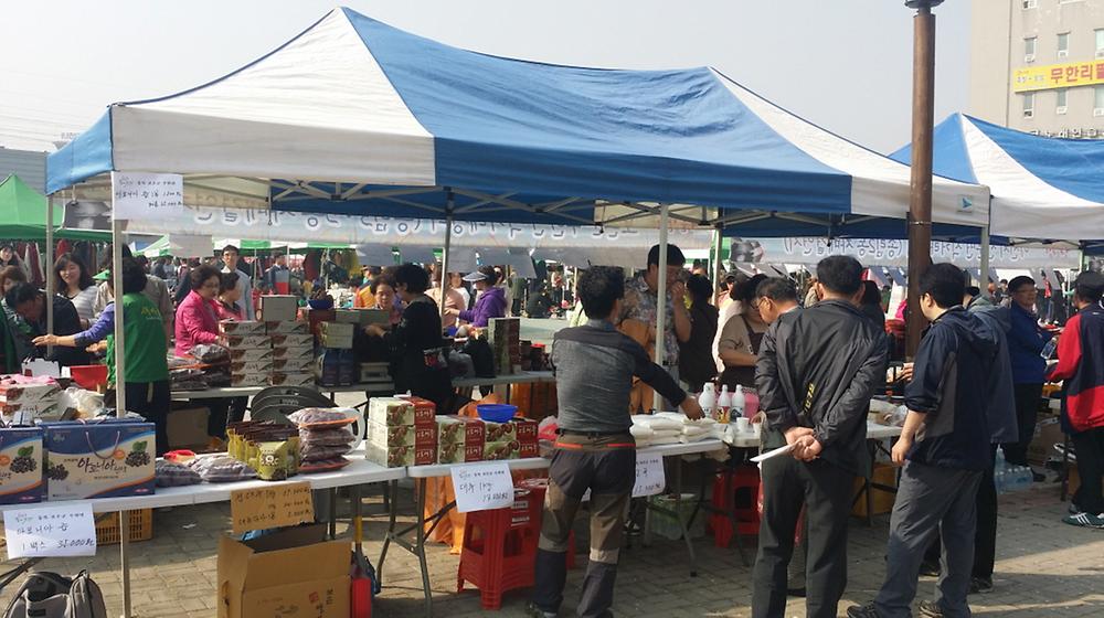 사진 사진