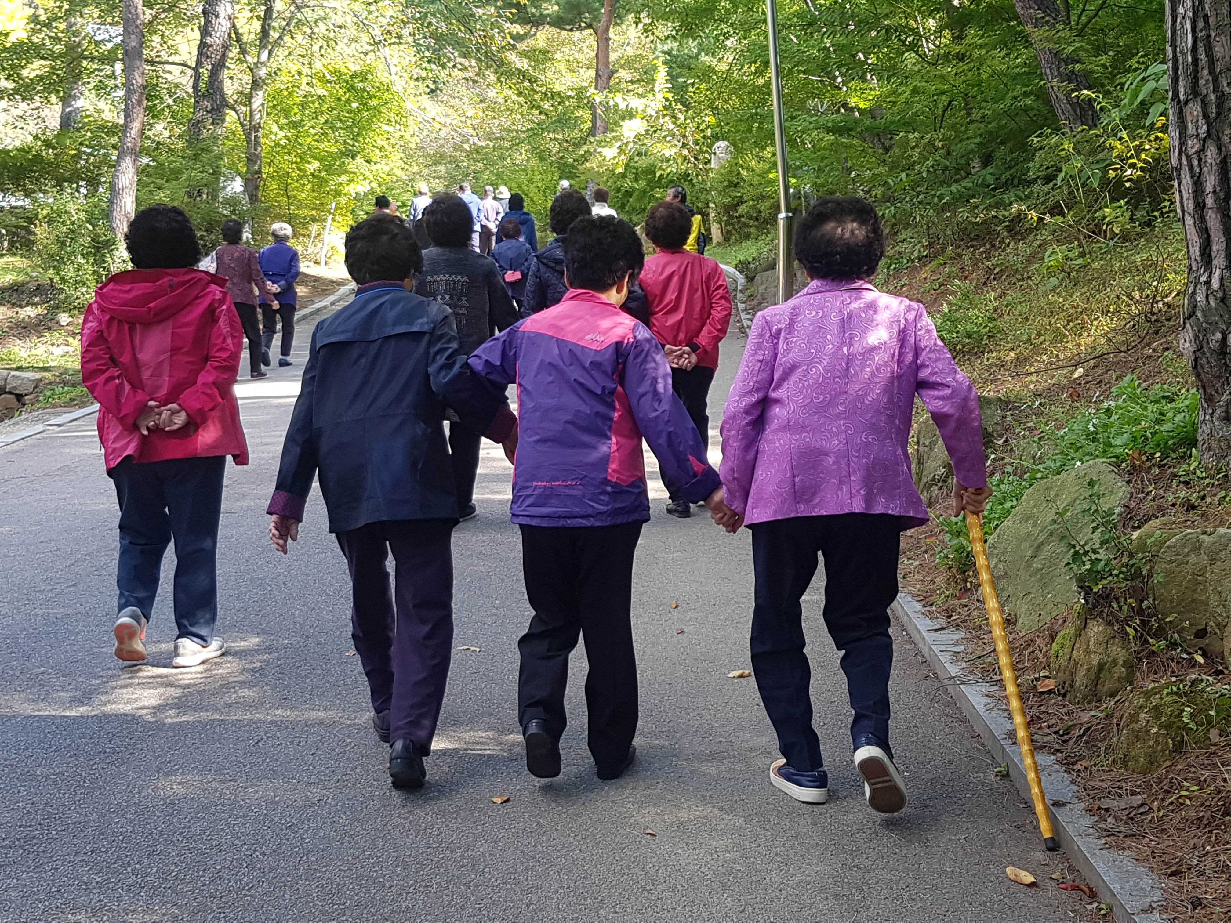 20181011_103247.jpg 이미지