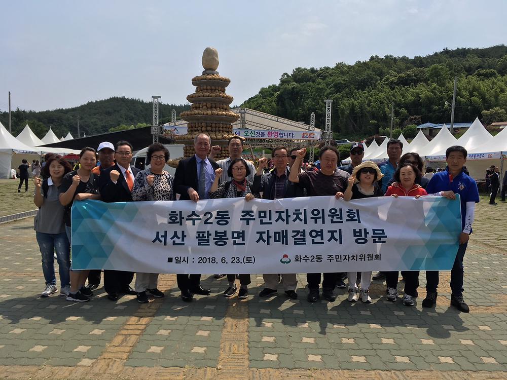 팔봉면 감자축제 사진