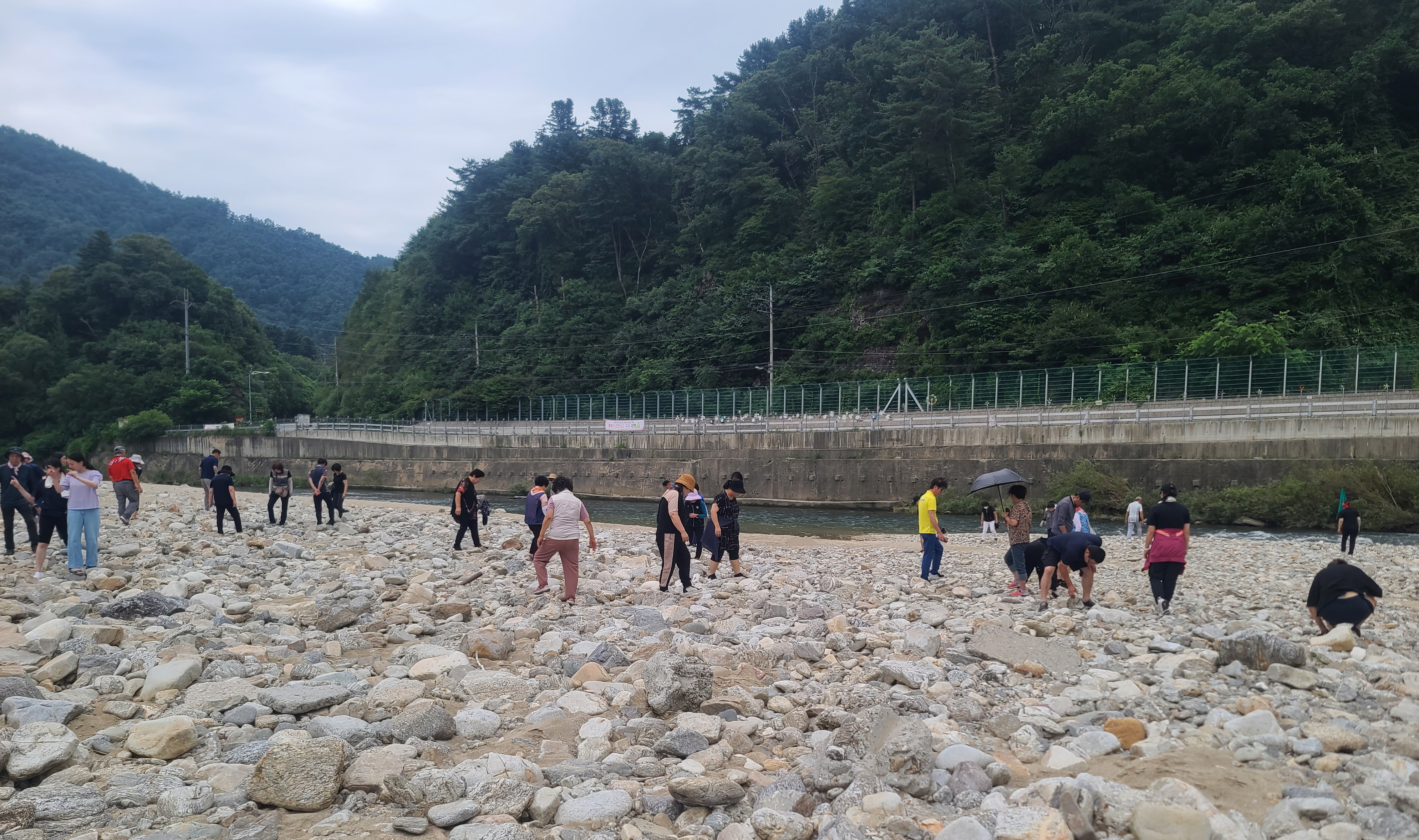 20230722_141255_보물찾기_★.jpg 이미지