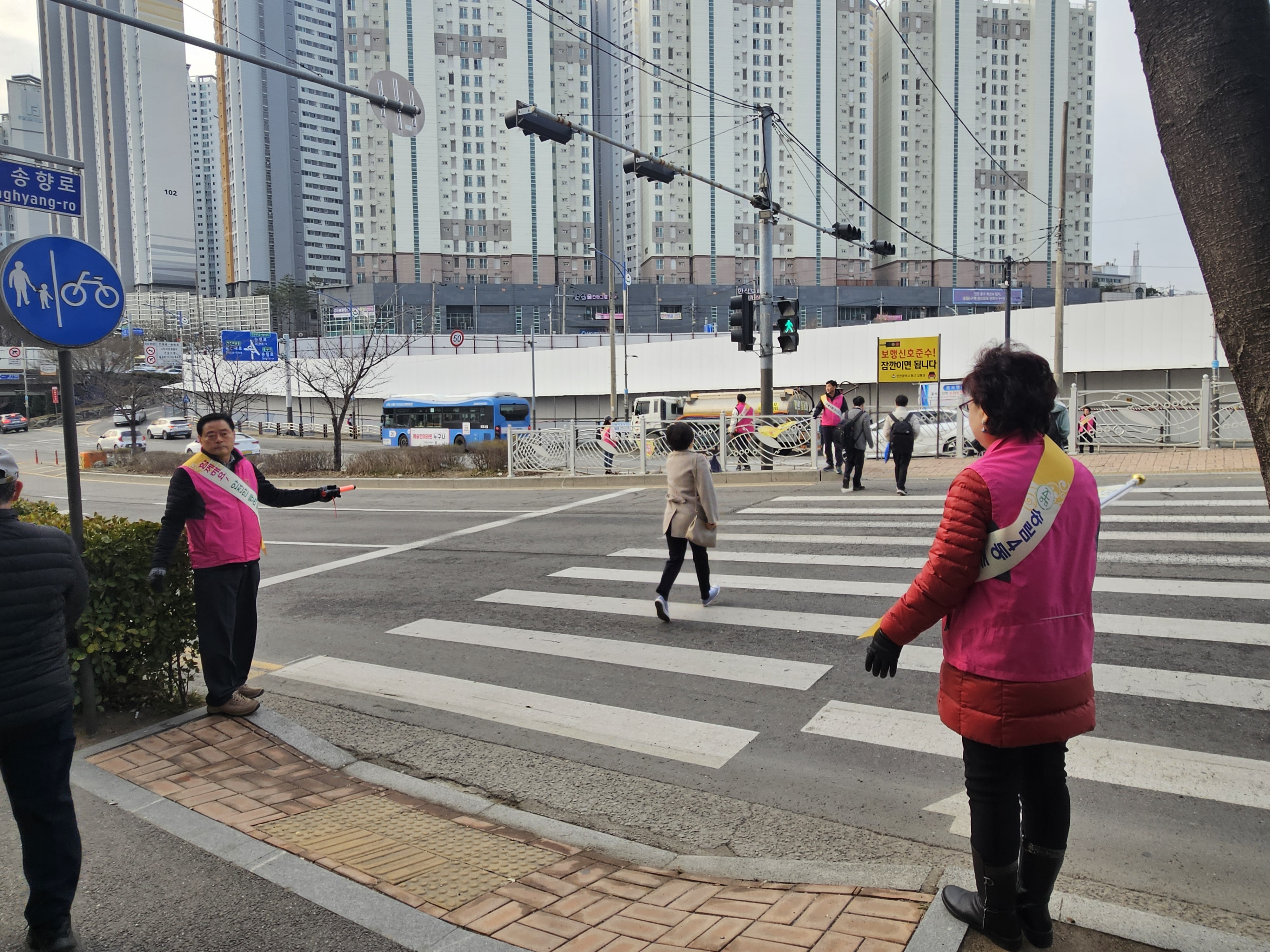 20240319_081008.jpg 이미지
