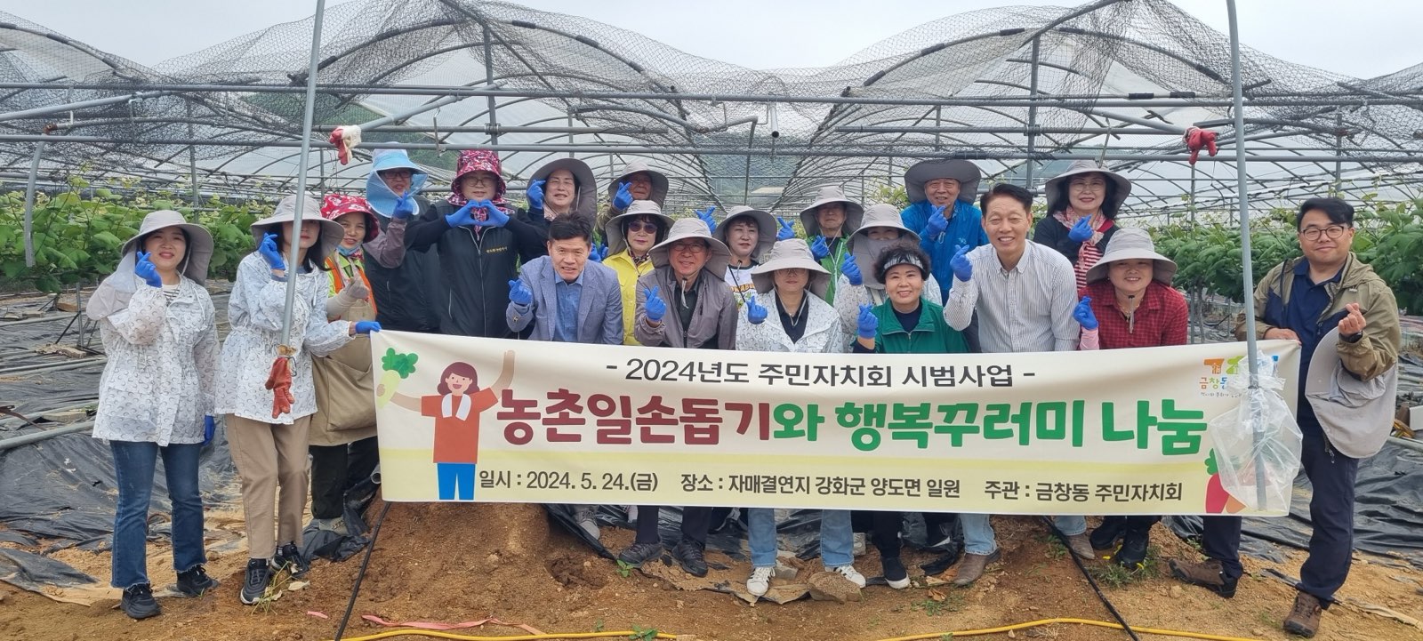 금창동_주민자치회-자매결연지(양도면)_농촌일손돕기활동.jpg 이미지