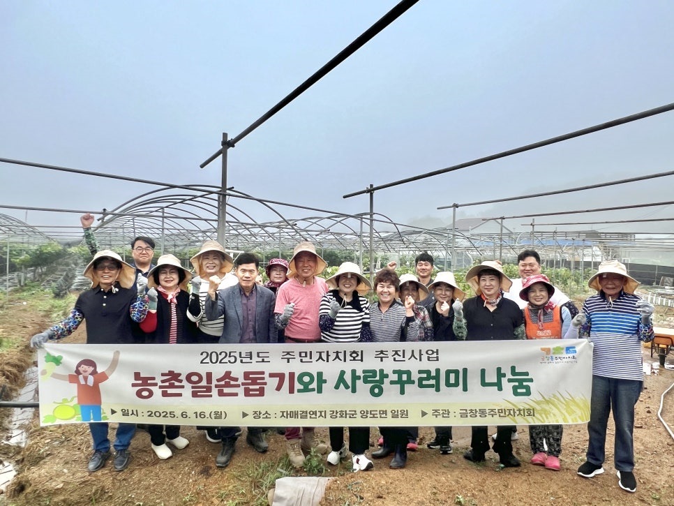 2025.6.16._주민자치회,_양도면_농촌일손돕기_활동(1).jpg 이미지
