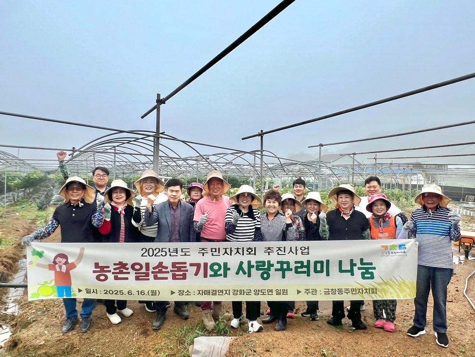 금창동 주민자치회, 자매결연지(양도면)과 함께하는 농촌일손돕기 활동  사진