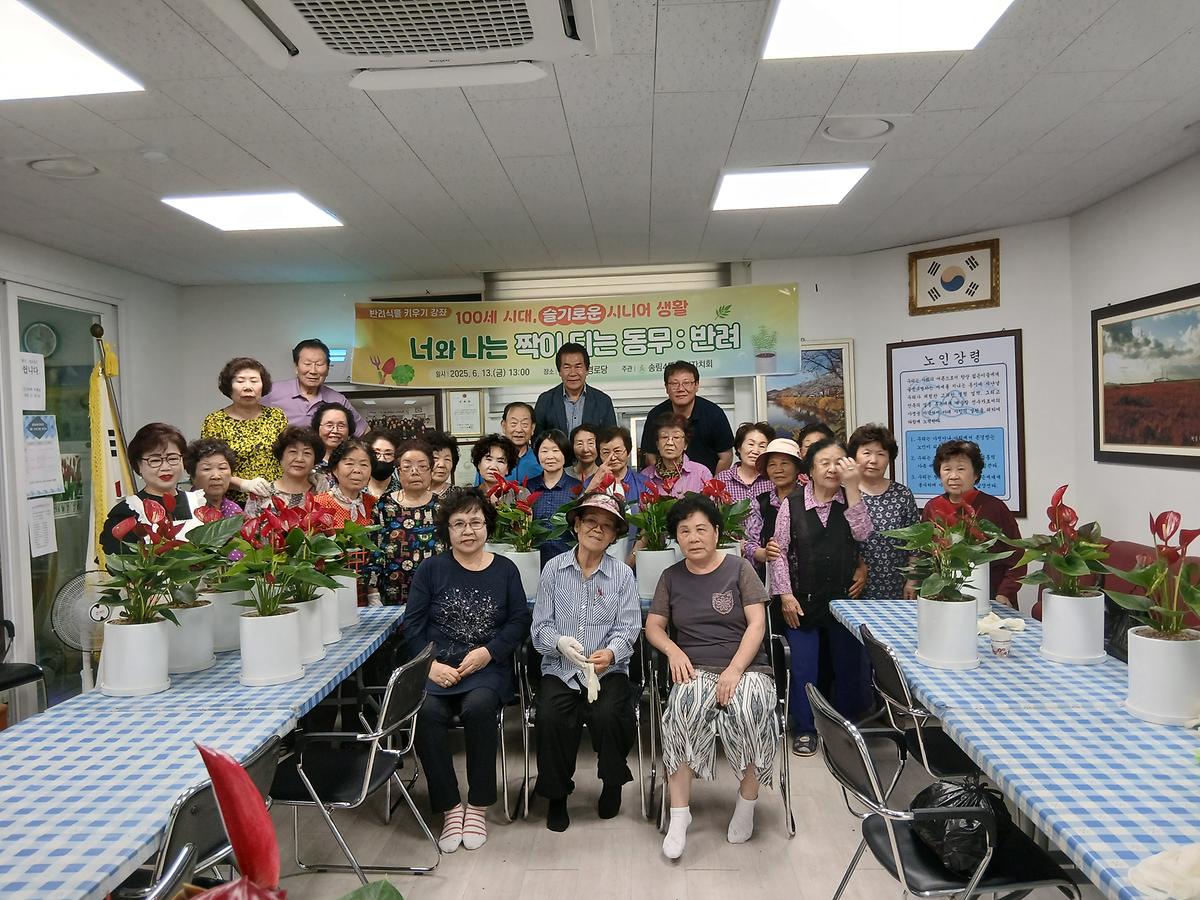 송림4동 주민자치회, 반려식물 키우기 강좌 실시 사진