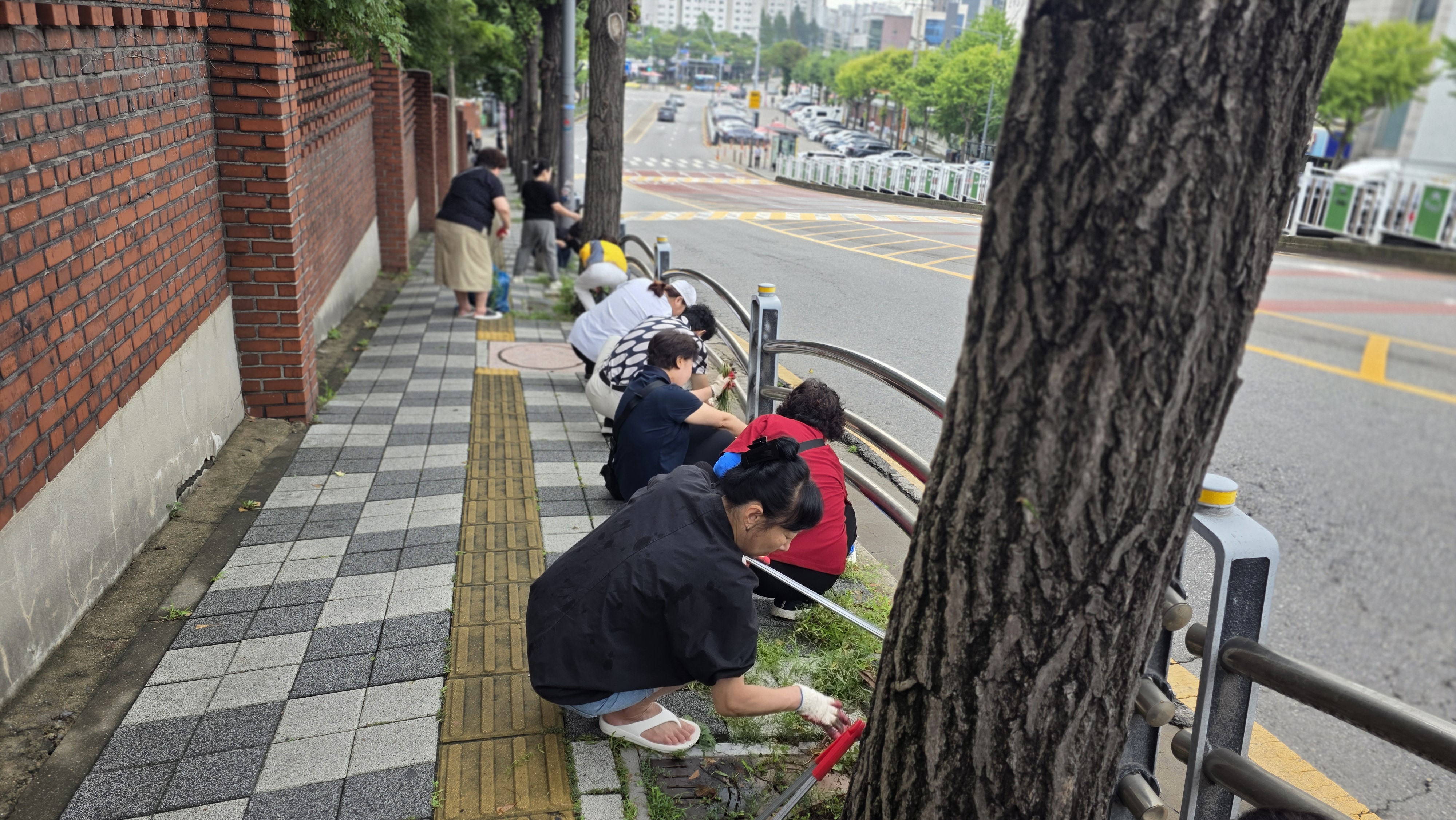 우리동네새단장4.jpg 이미지
