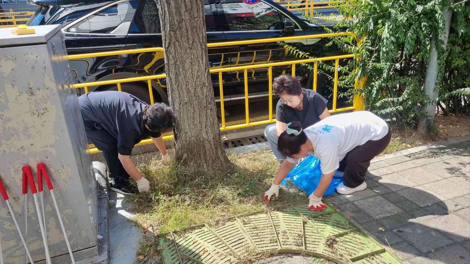 클린업데이_8.jpg 이미지