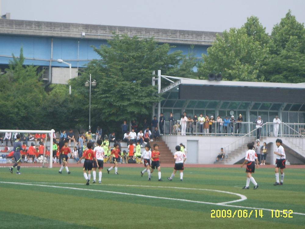 렬렬한 합부모님들의 응원 사진