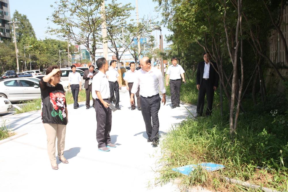 행정사무조사 관련 사업대상지 현장점검 사진