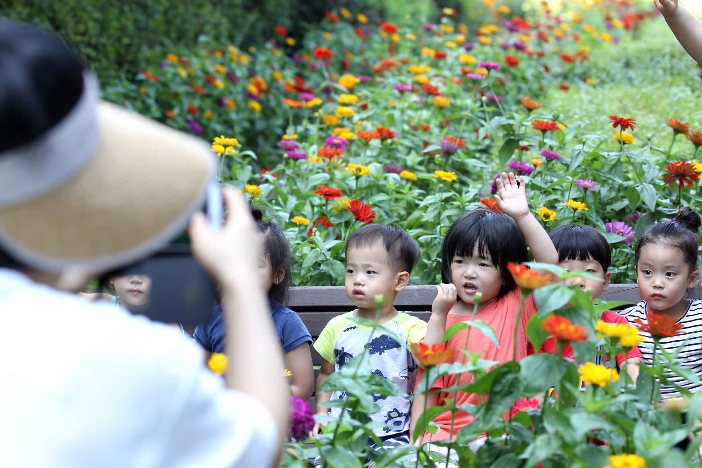 20150806_만석동_백일홍꽃길10.jpg 이미지