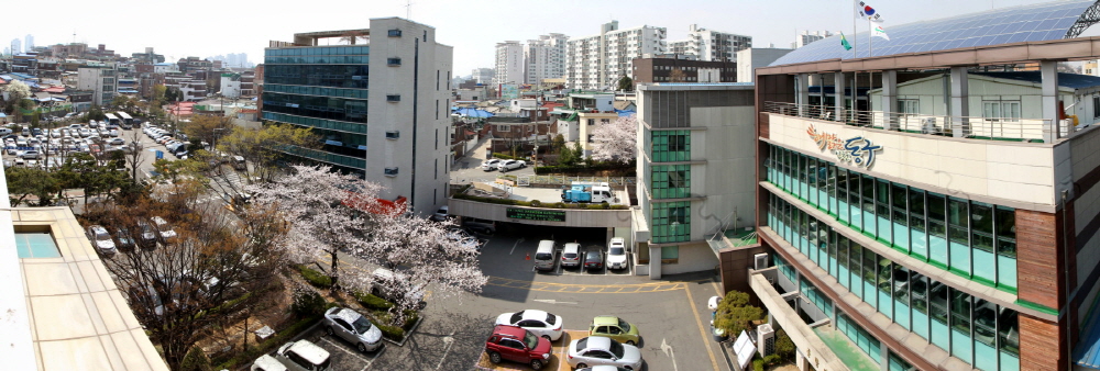 동구청 사진
