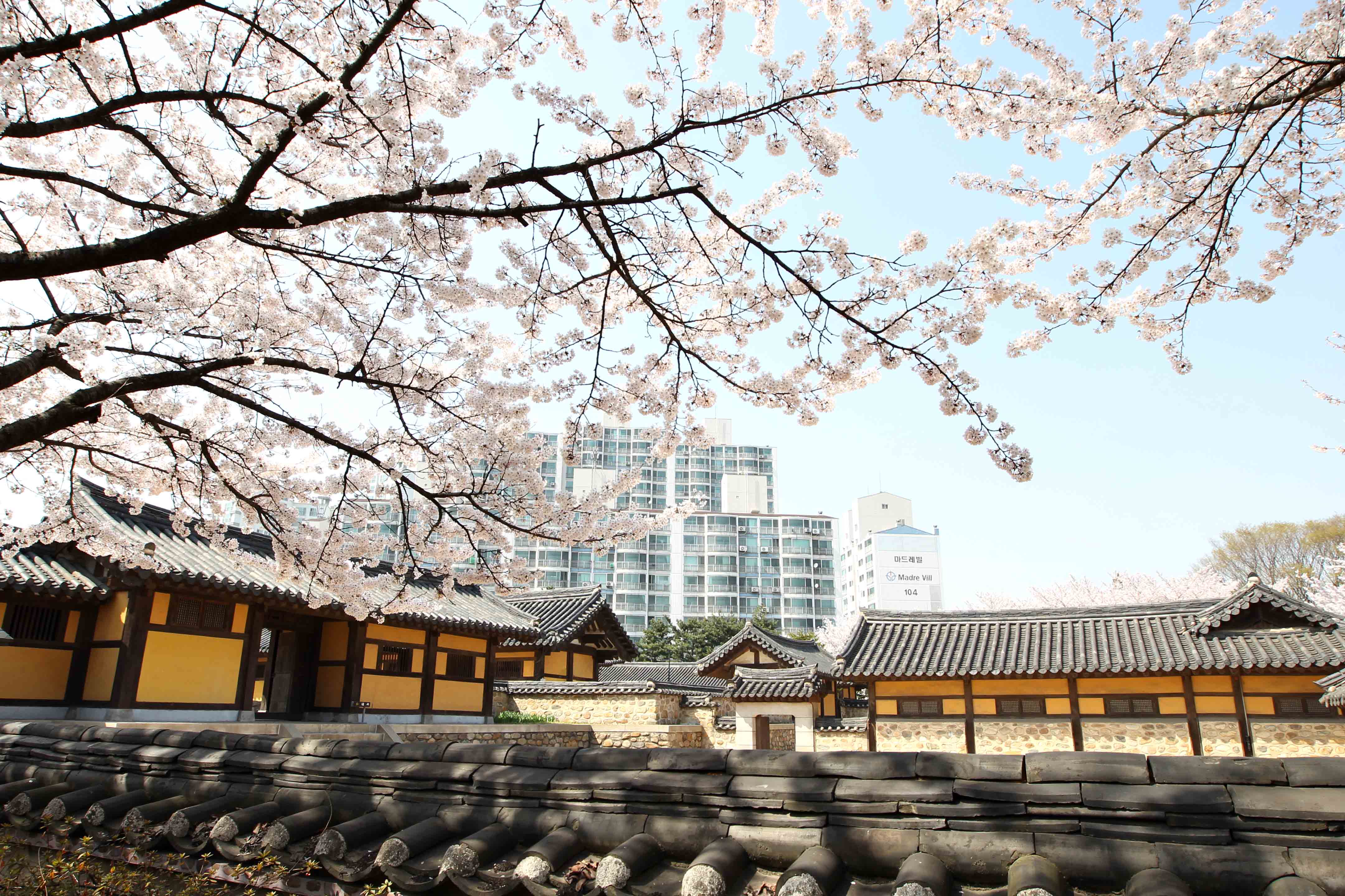 20160411_화도진공원_송현근린공원_봄_스케치12.jpg 이미지