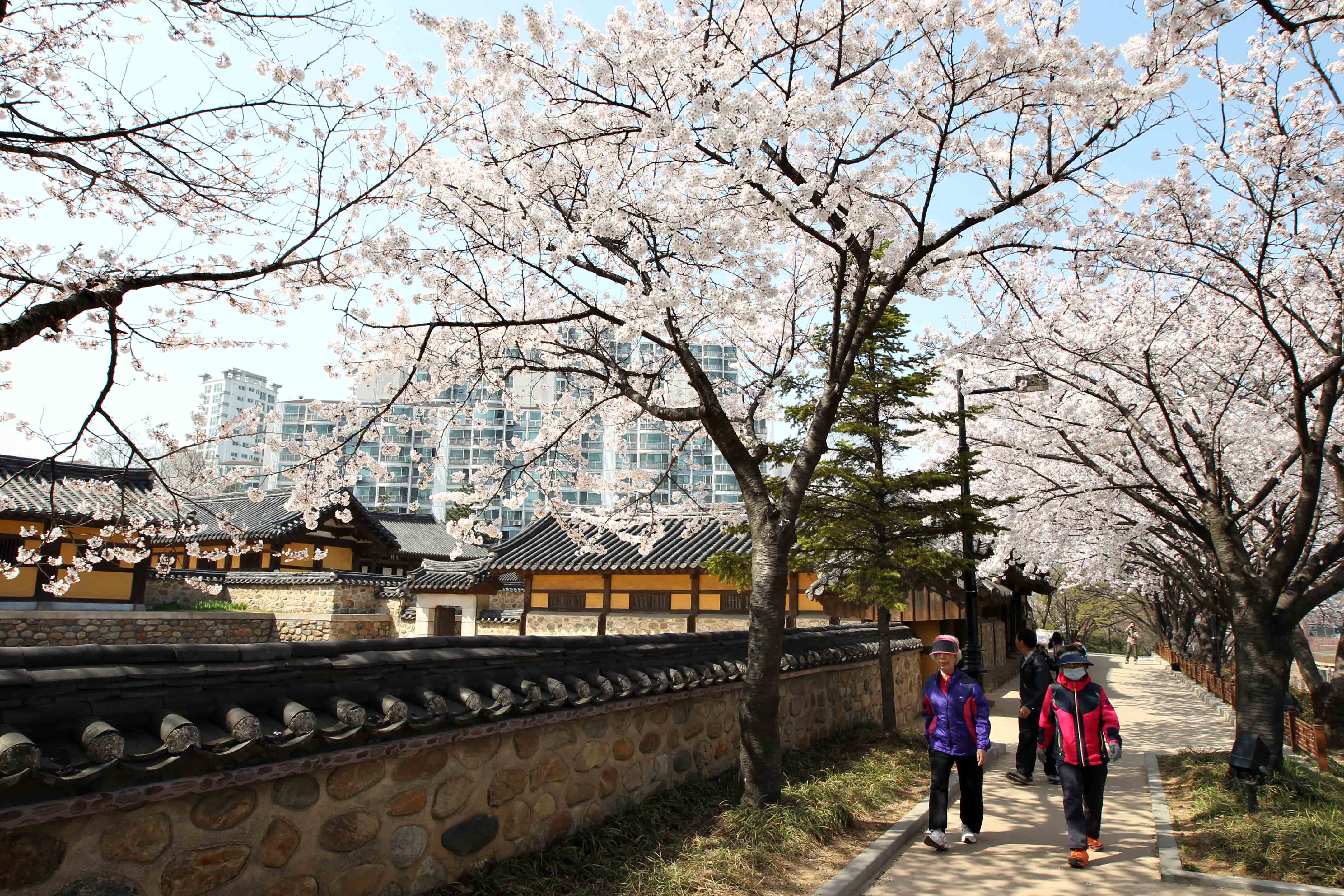 20160411_화도진공원_송현근린공원_봄_스케치13.jpg 이미지