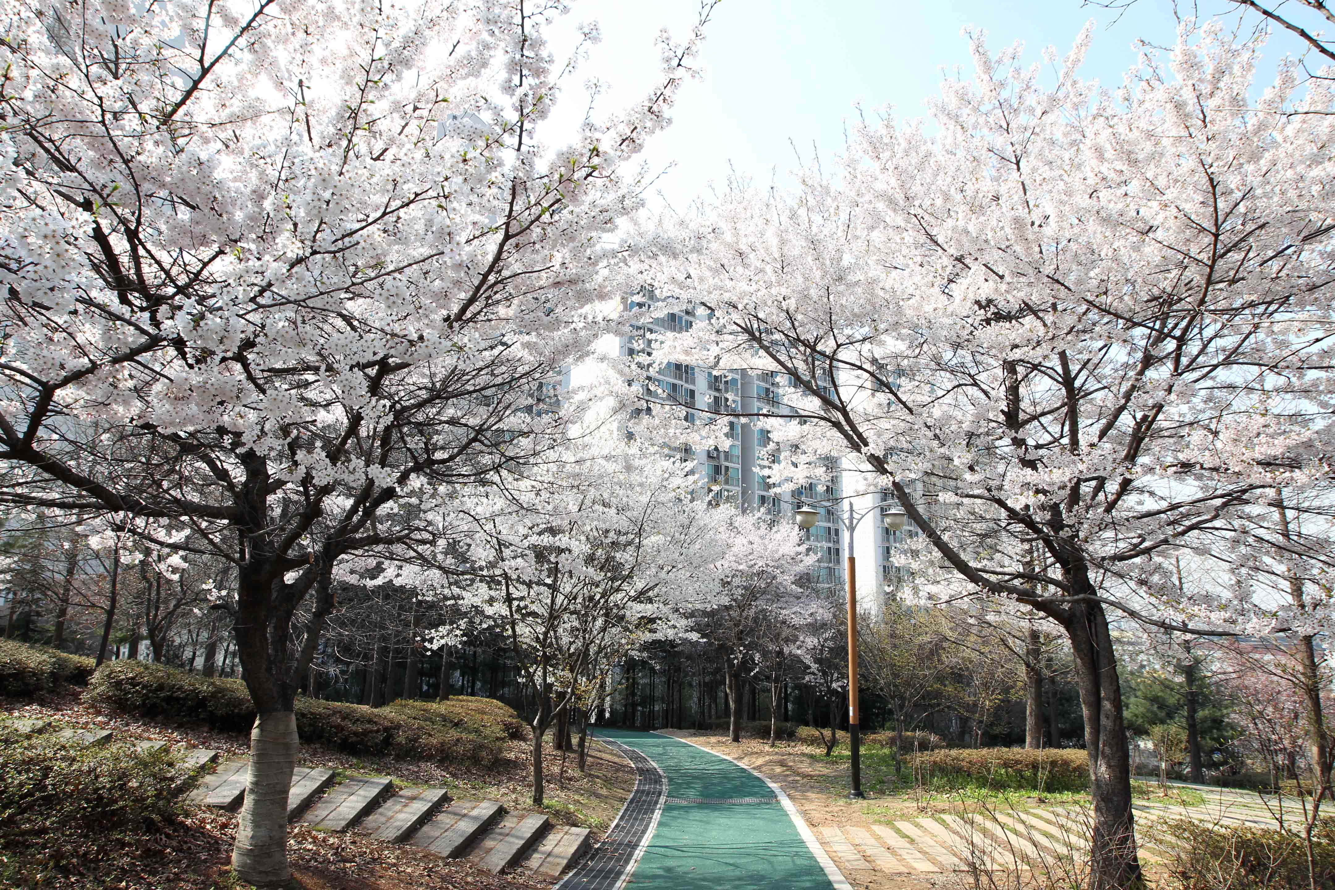 20160411_화도진공원_송현근린공원_봄_스케치17.jpg 이미지